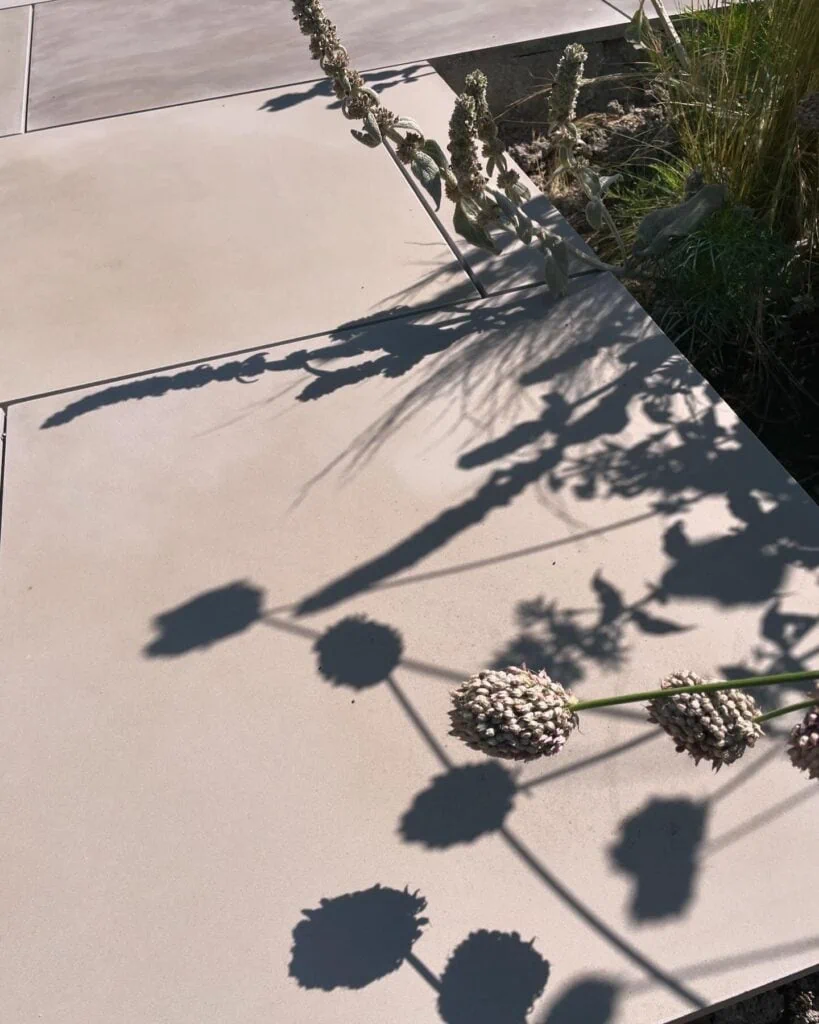 Shadows of plants on sandstone paving